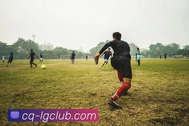 老哥俱乐部官网平台生态图